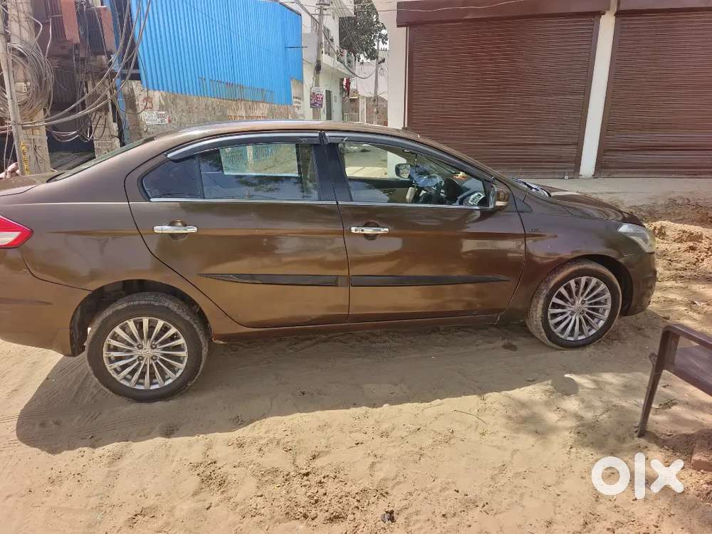 Diesel Hybrid Zdi+ Maruti Suzuki Ciaz