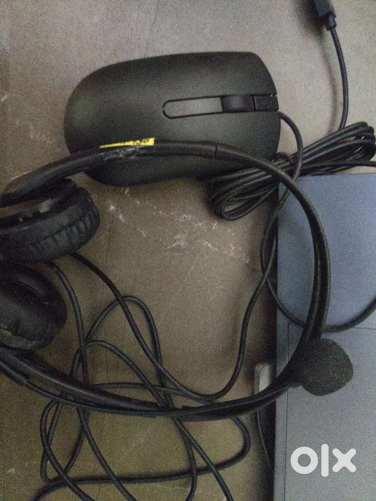 Dell Mouse and HP Headset