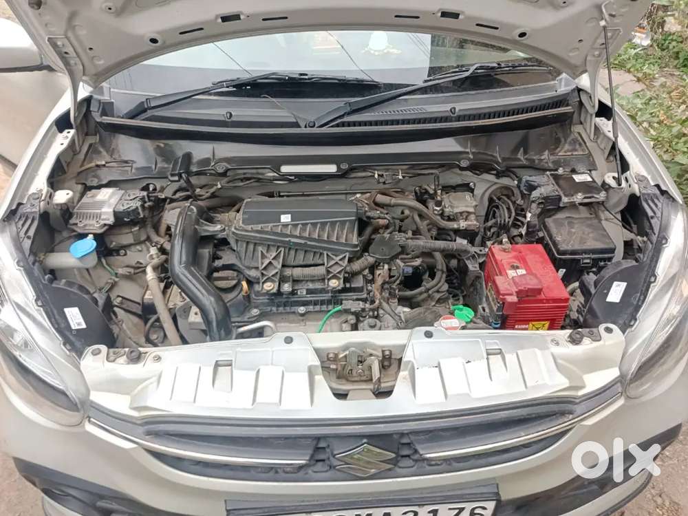 Maruti Suzuki Celerio 2023