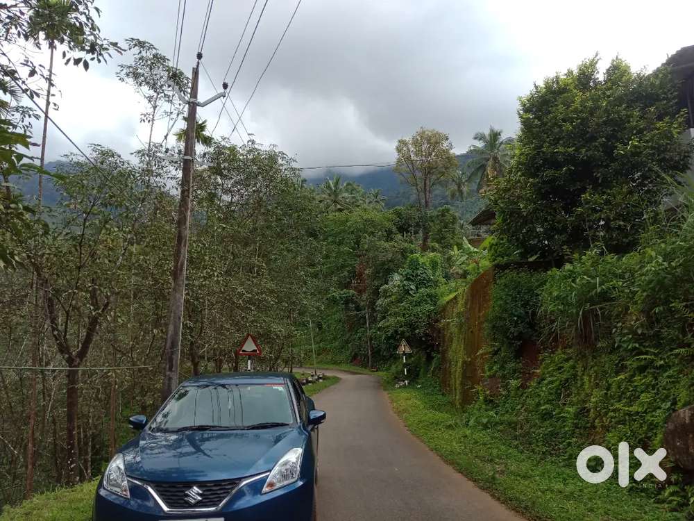 Well Maintained Ray Blue Baleno