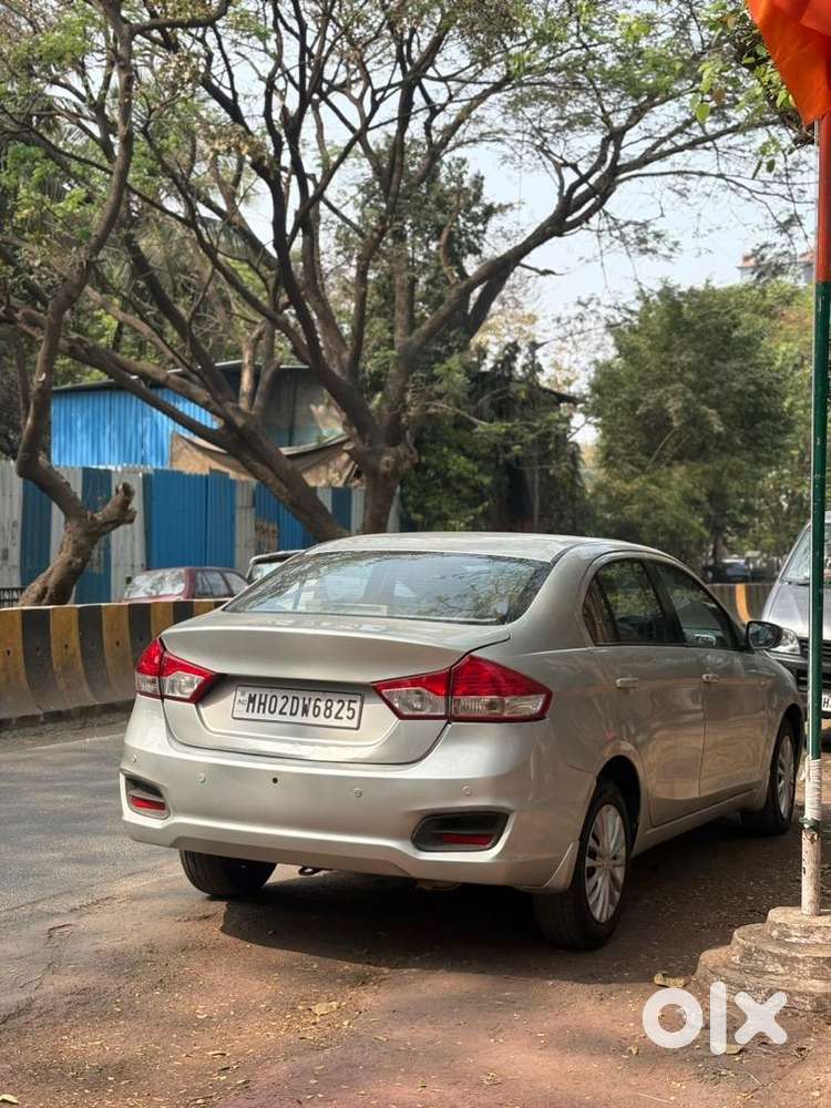 Maruti Suzuki Car 2015