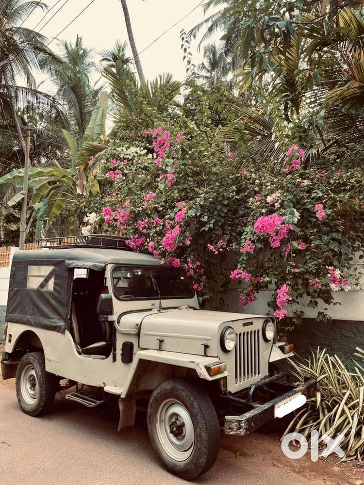 Mahindra Jeep 1994 Petrol Well Maintained