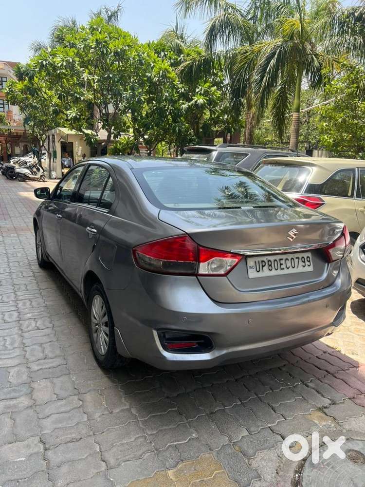 Maruti Suzuki Diesel 2017