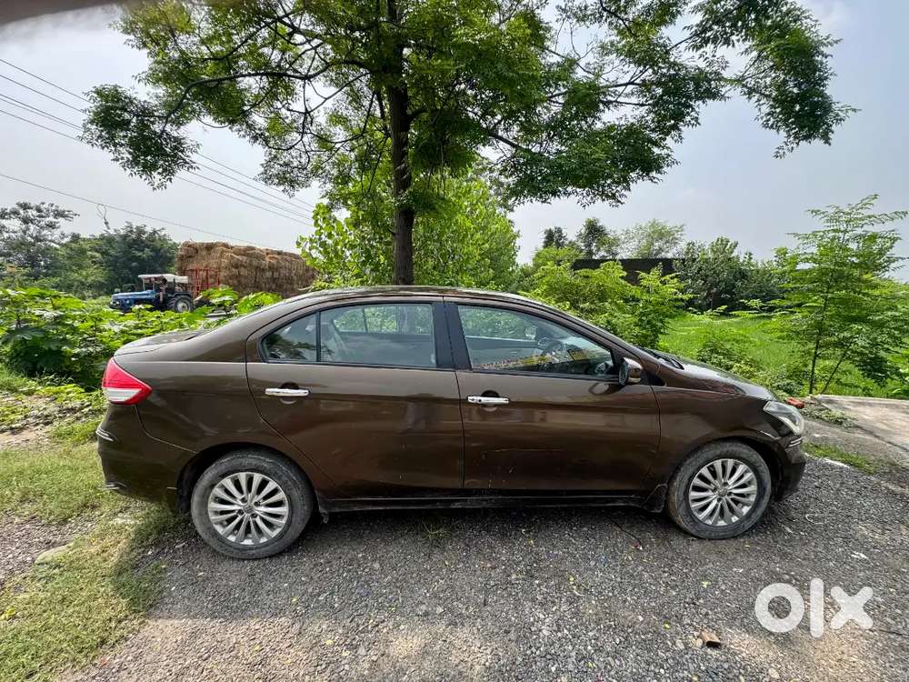 Maruti Suzuki Ciaz 2017 Model Diesel