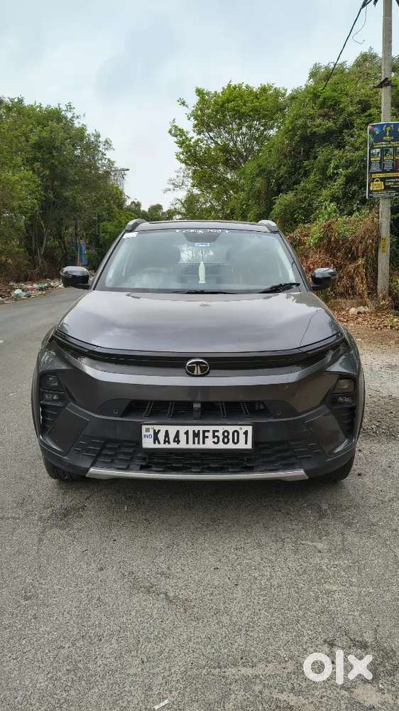 Tata Nexon 2025 Petrol Well Maintained