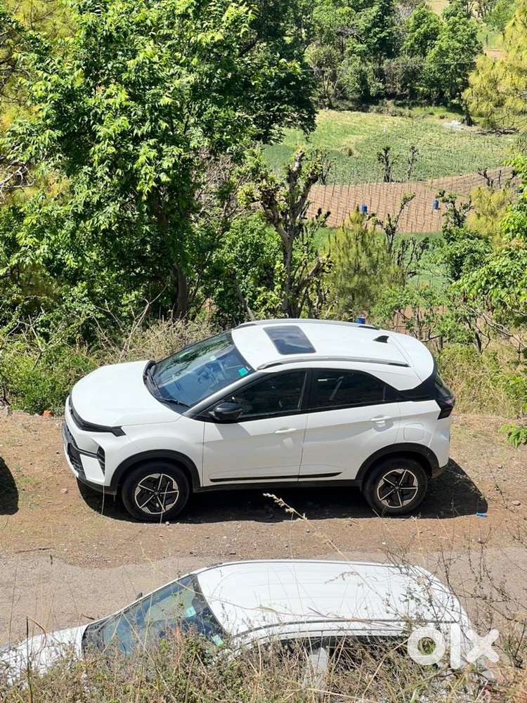 Tata Nexon 2024 Petrol Only 20000 Km Driven, Well Maintained