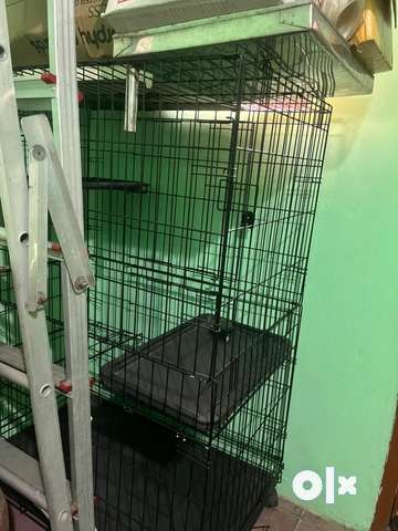 Olx cat outlet cage