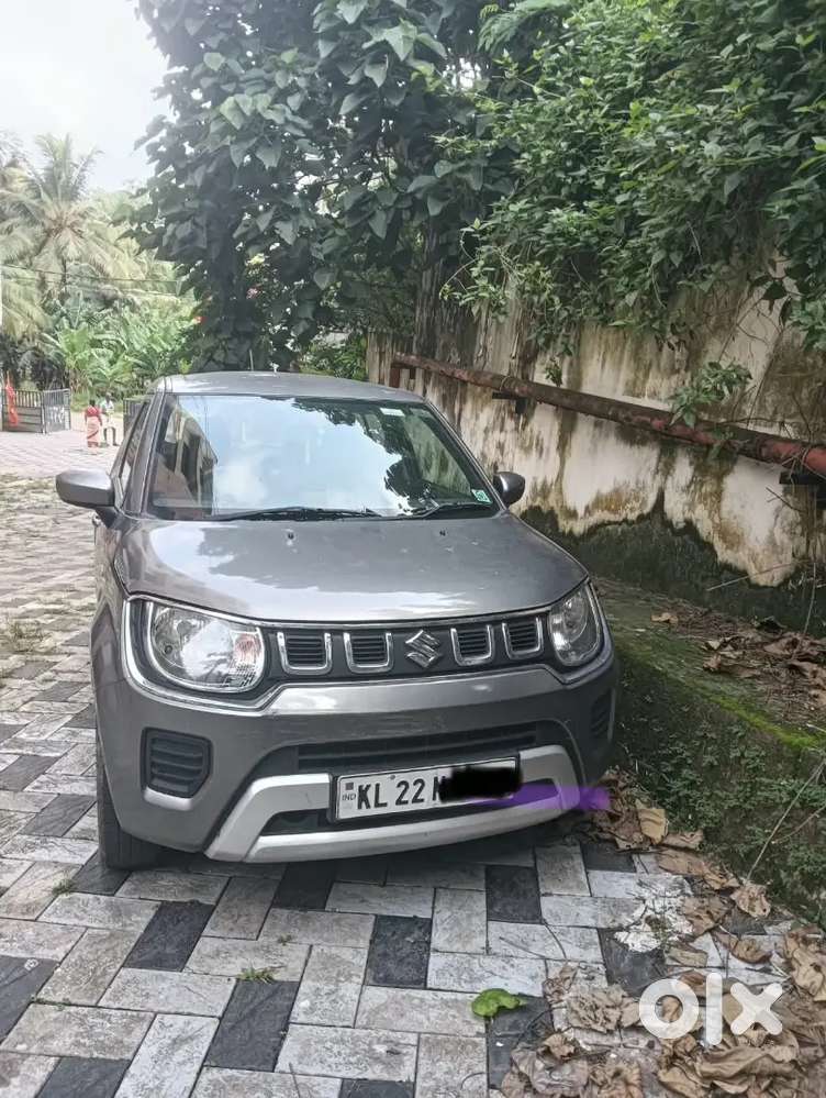 Maruti Suzuki Ignis 2019