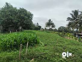 Agricultural Land - Lands & Plots For Sale in Puttur | OLX