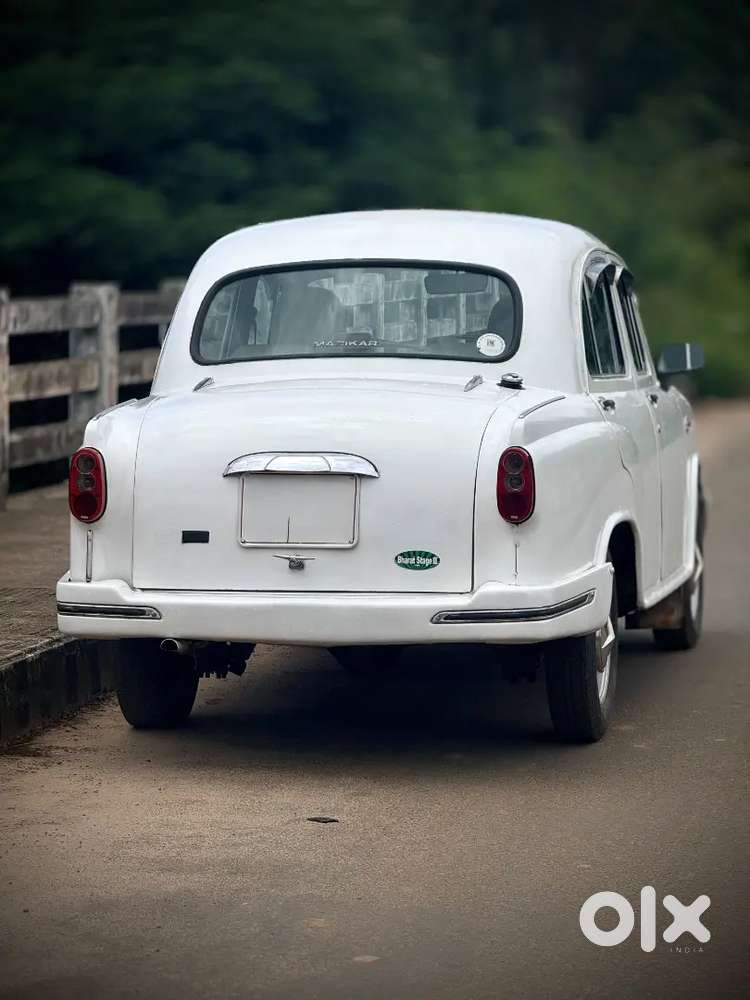 Ambassador For Sale