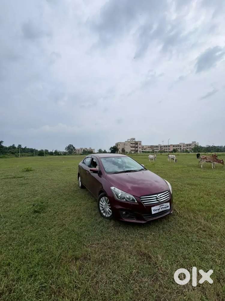 Maruti Suzuki Ciaz 2015 Variant Year