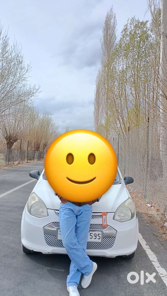 Maruti Suzuki Alto 2014 Petrol