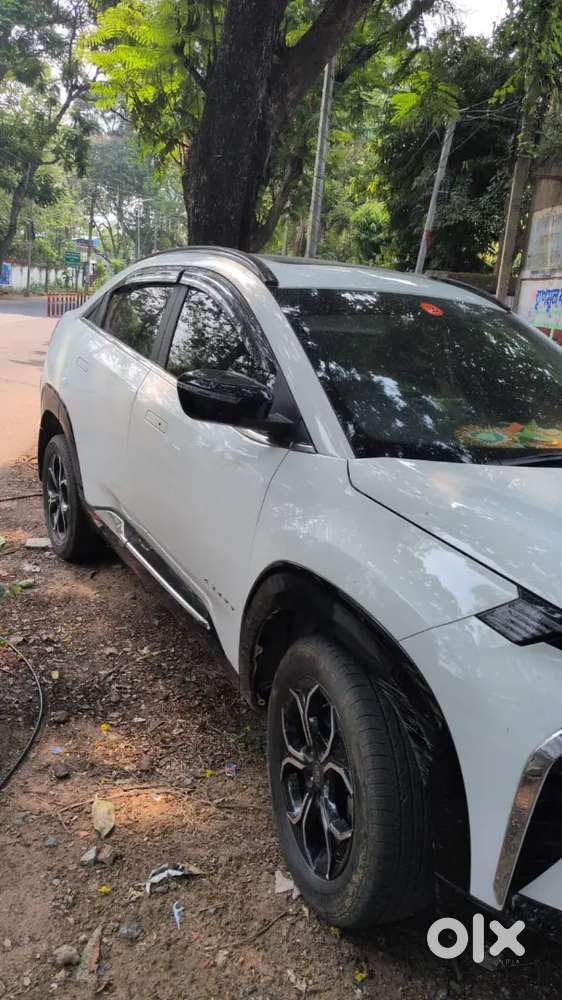 Tata Curvv 2025 Petrol Well Maintained