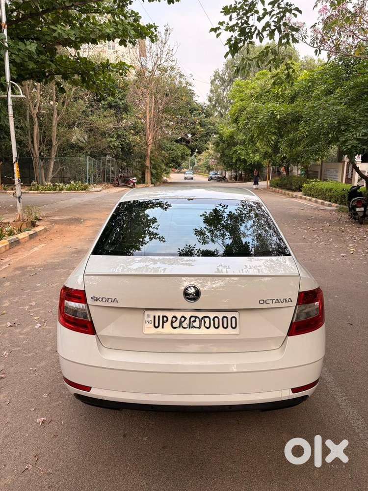 Skoda Octavia 2019 Petrol 38600 Km Driven