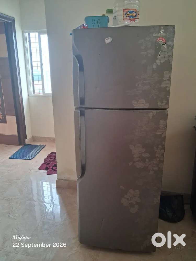 Samsung Double Door Refrigerator &ndash; Gas Required