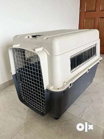 40 inch outlet wire dog crate