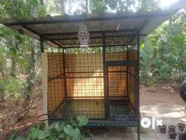 Olx hotsell dog kennels