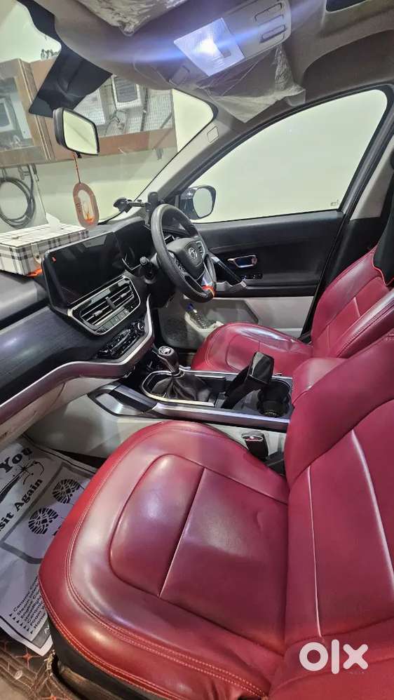 Tata Safari 2023 Diesel Well Maintained
