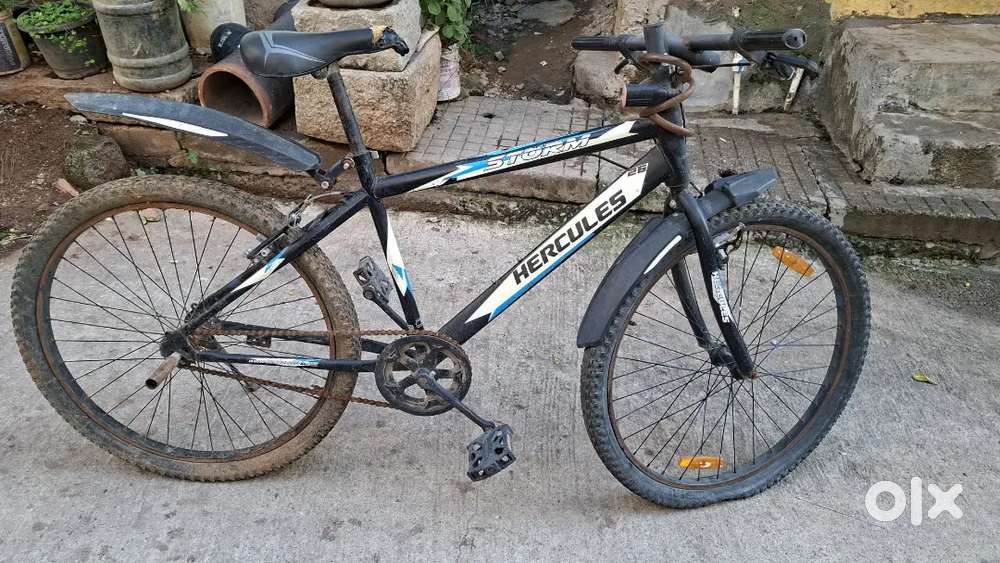 2nds Cycle