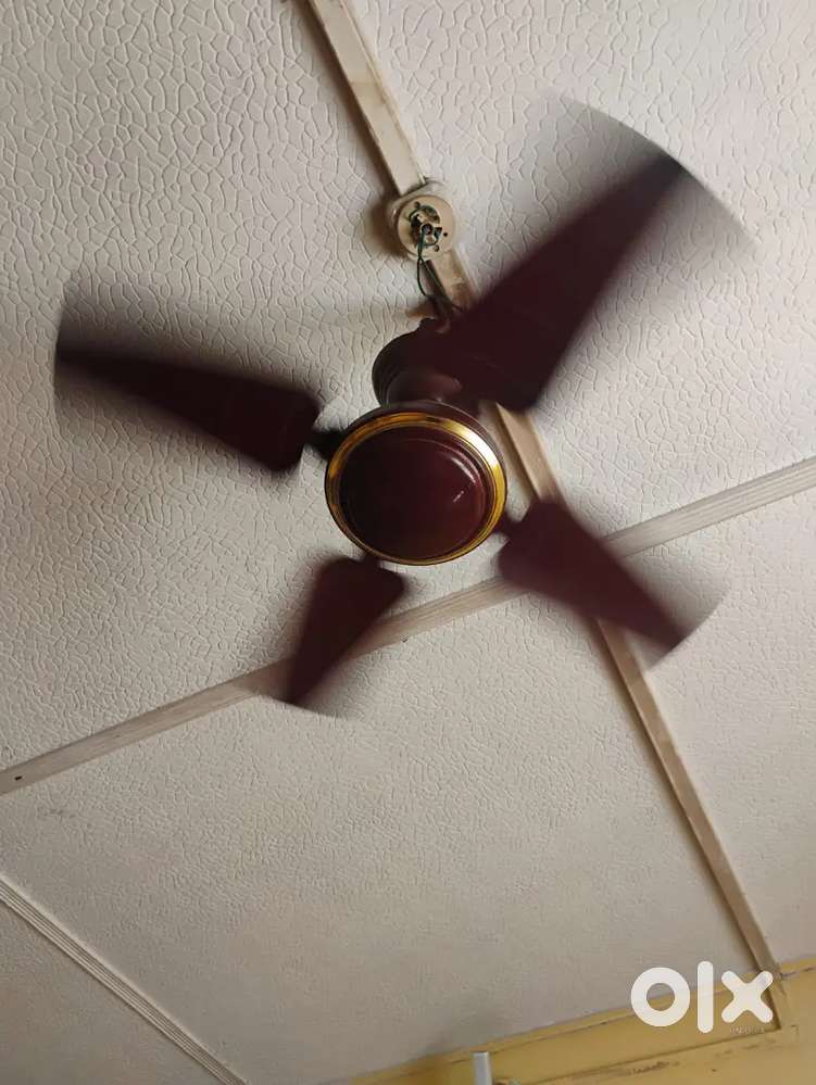 Fan High Speed
