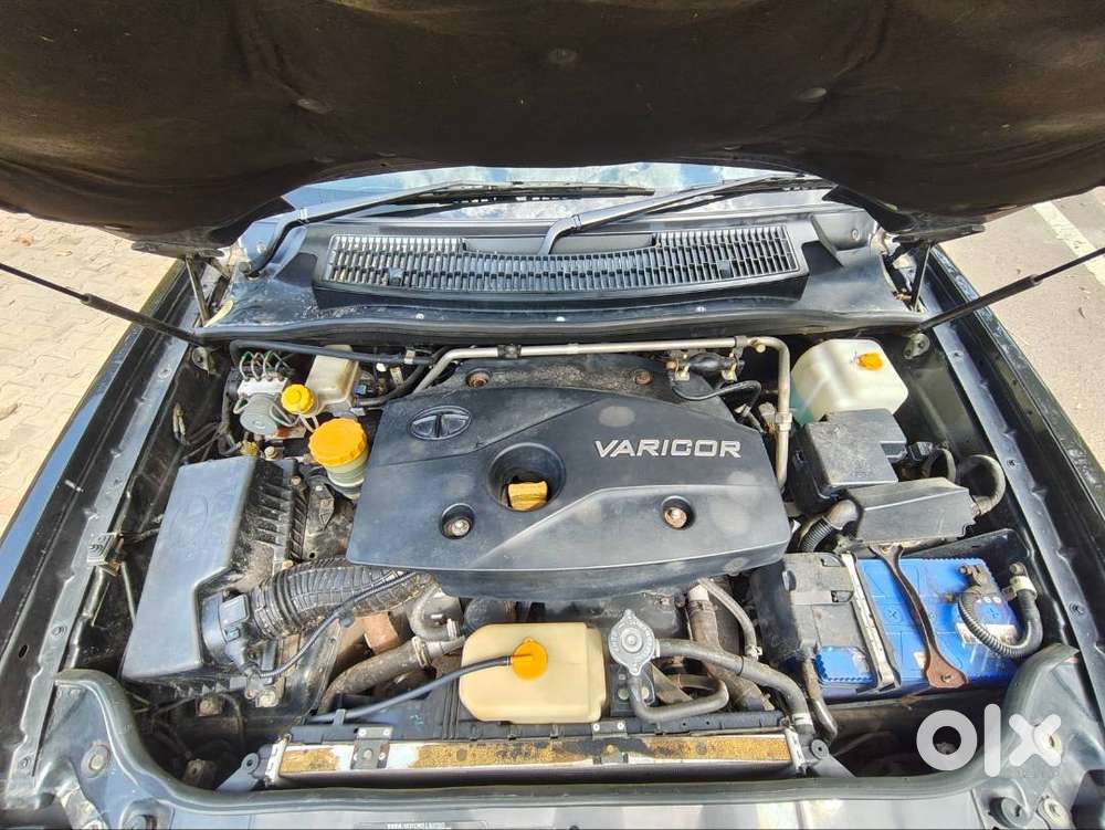 Black Safari Storme Top Model