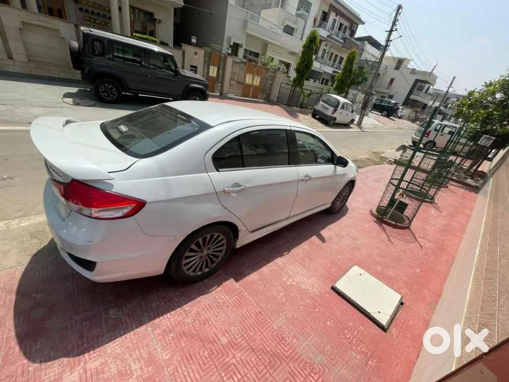 Maruti Suzuki Ciaz 2016 Diesel Well Maintained
