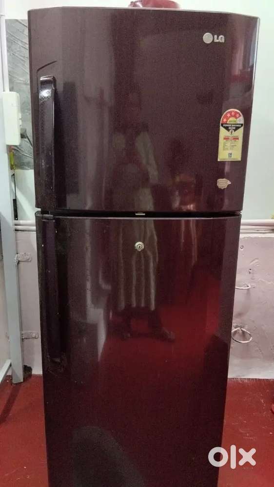 LG 4star  double door fridge
