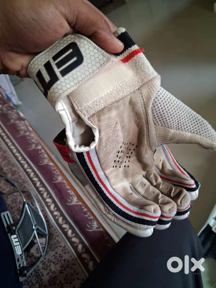 Cricket kit EM