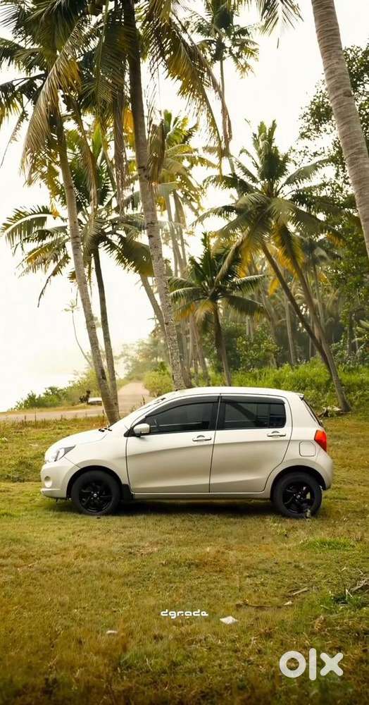 Maruti Suzuki Celerio 2017 Petrol Well Maintained