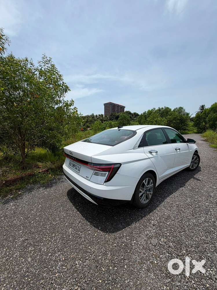 Fresh Verna For Sale