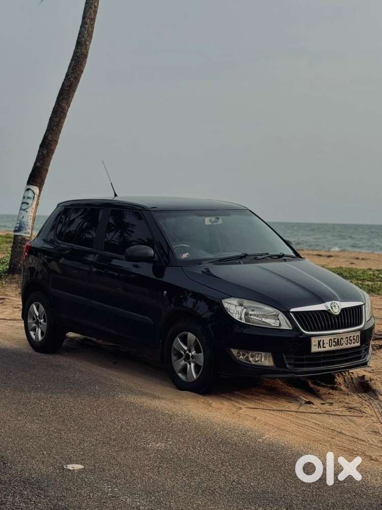 Skoda Fabia 2011 Petrol Well Maintained