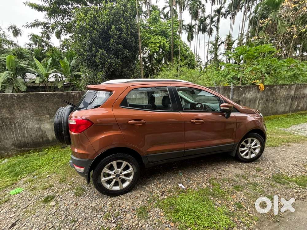 Ford Ecosport 2018 Petrol 30500 Km Driven Well Maitain