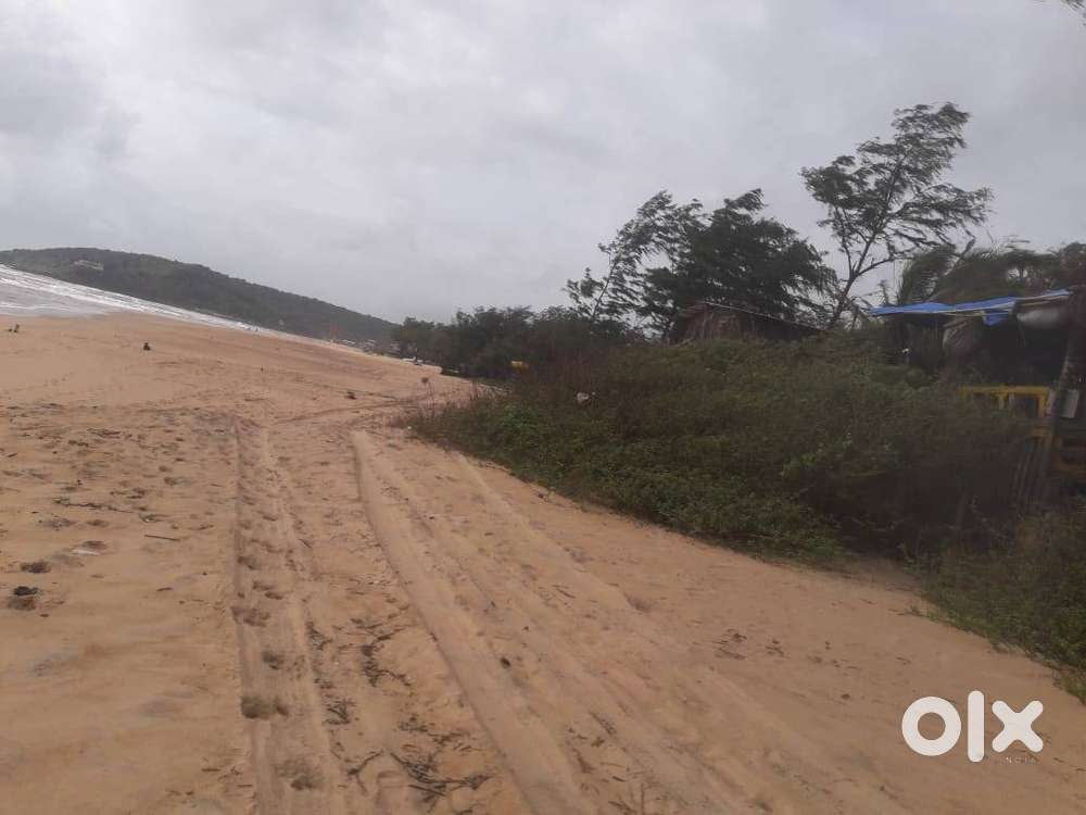 Beach touch land for Lands & Plots 1703996144