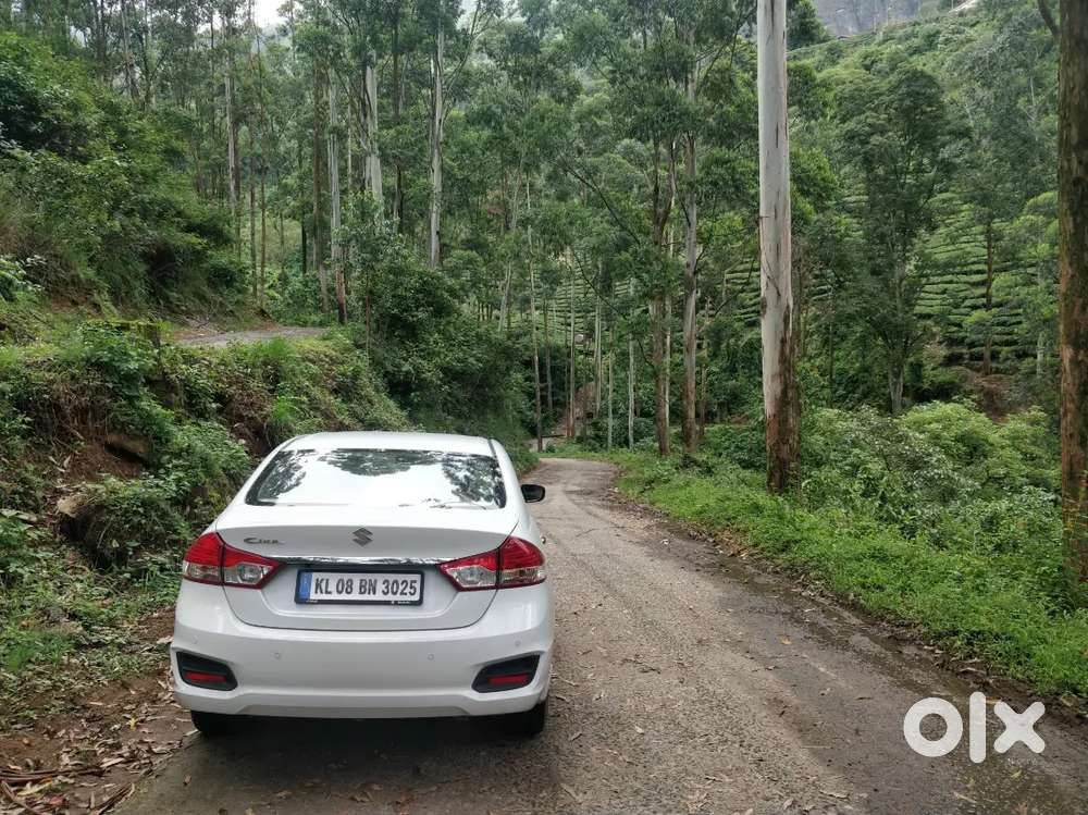 Maruti Suzuki Ciaz Alpha Petrol 2017 At