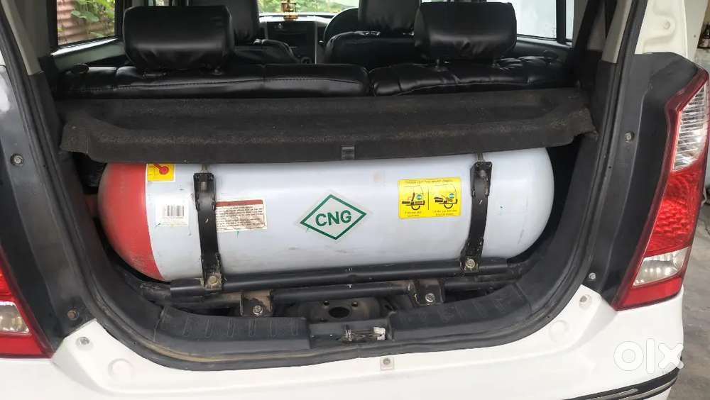 Maruti Suzuki Wagon R 2017 Lxi Cng