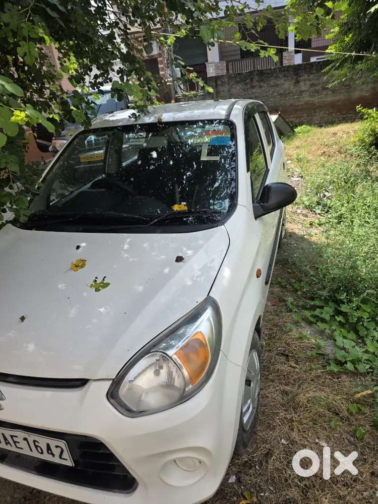 Maruti Suzuki Alto 2017  Army Person Drive