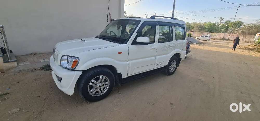 Scokripo 2014 Sale