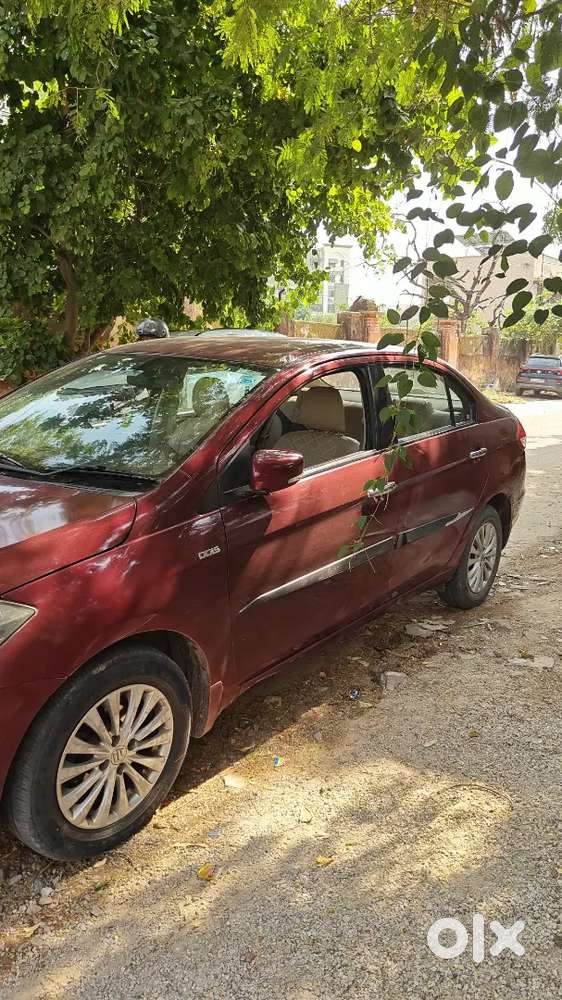 Ciaz Zdi Diesel 2015 Showroom Condition