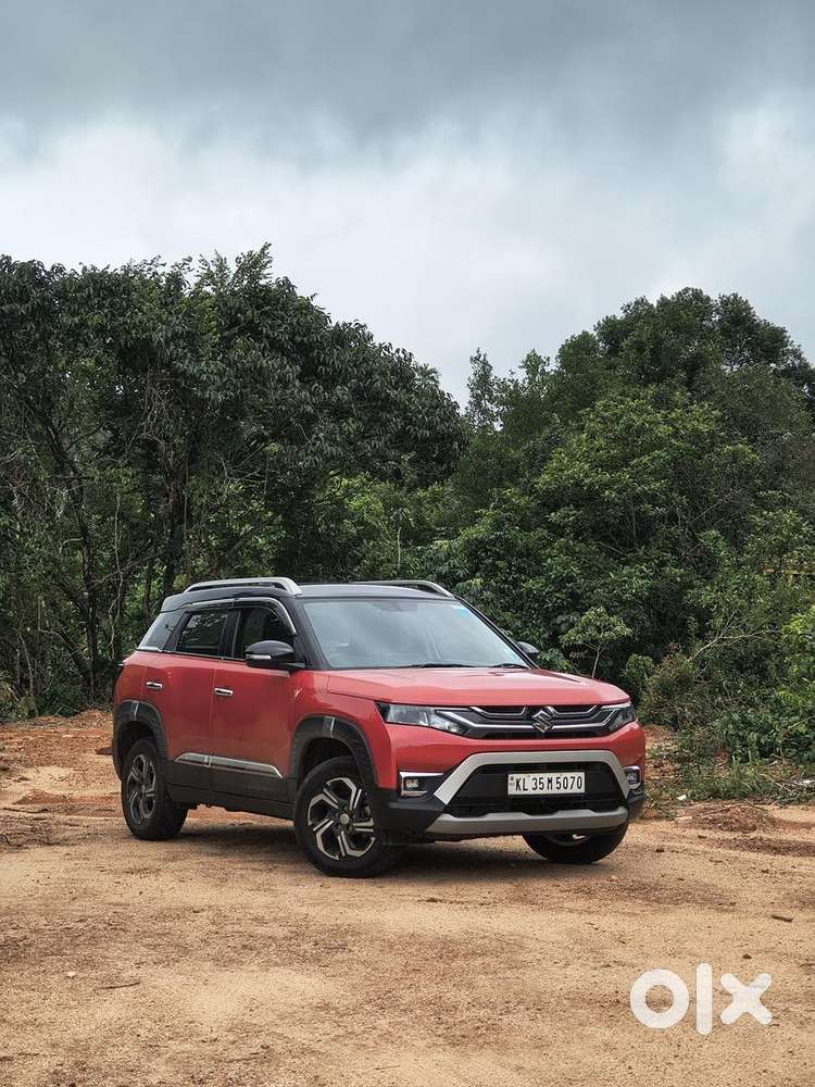 Maruti Suzuki Petrol 2024