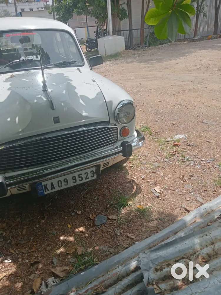 Ambassador Avigo 2000 Dsz
