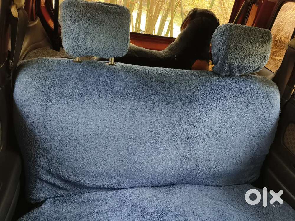 Maruti Suzuki Wagon R 2007 Petrol 61000 Km Driven