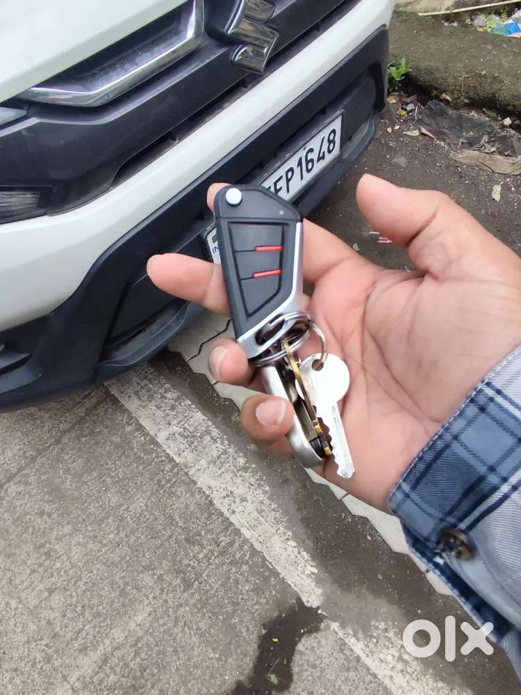 Mint Condition Celerio