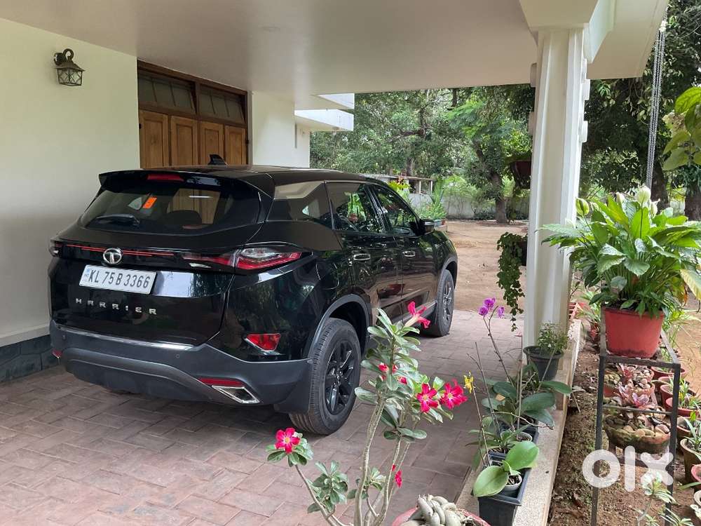 Harrier Xza Plus Dark Edition.2021.single Use