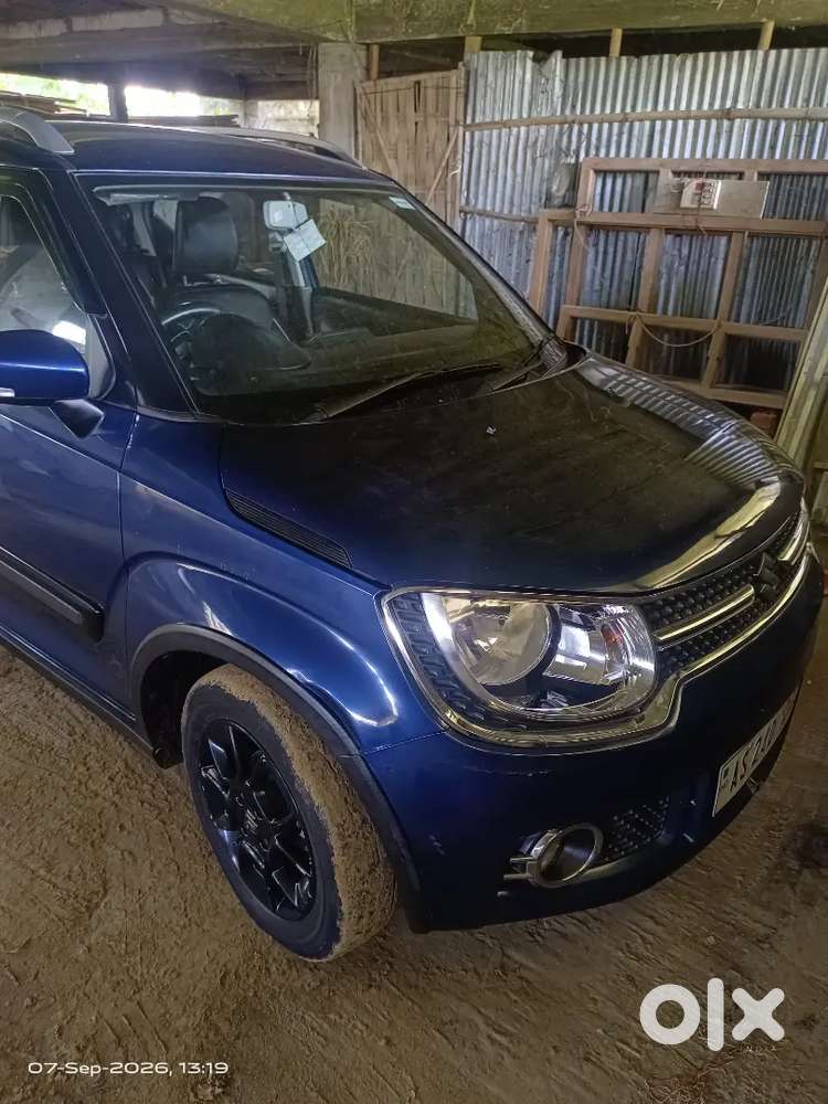 Maruti Suzuki Ignis 2019 Petrol 51000 Km Driven