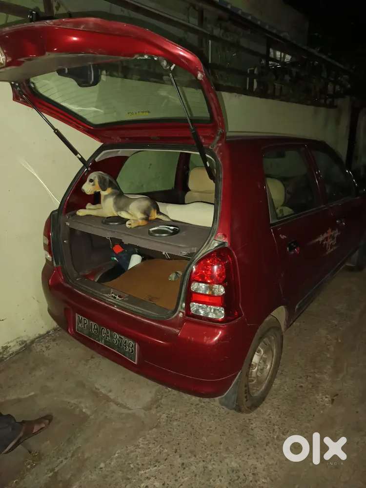 Maruti Suzuki Alto