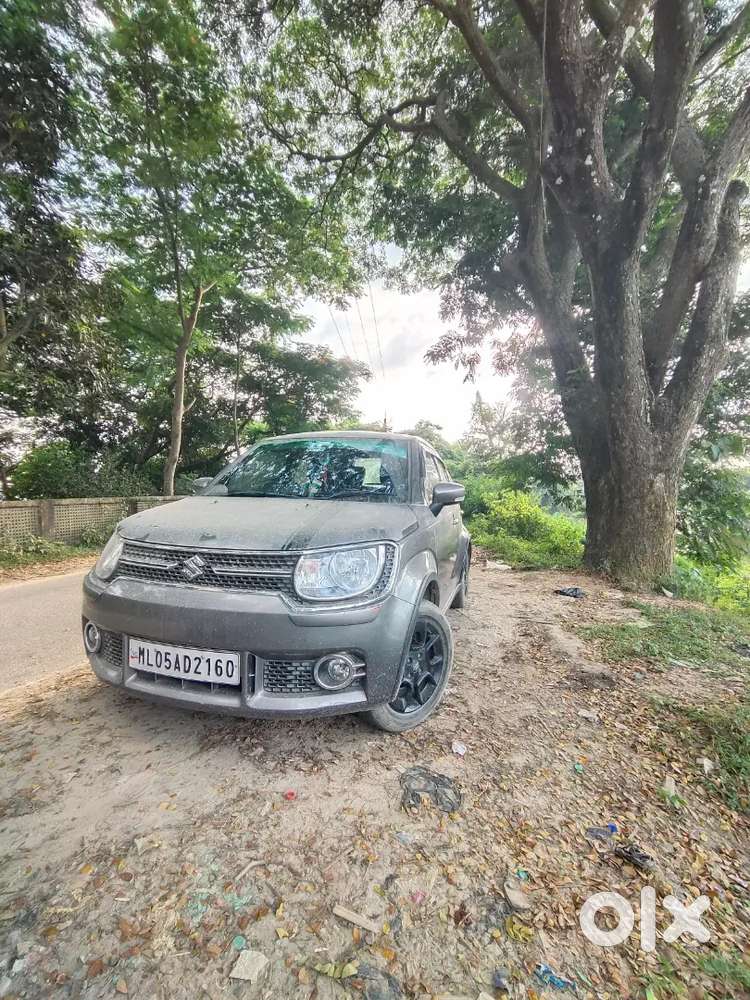 Maruti Suzuki Ignis 2017 Petrol Manual