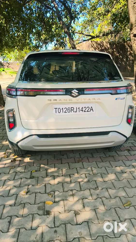 Maruti Suzuki Grand Vitara 2026 Cng & Hybrids 25000 Km Driven
