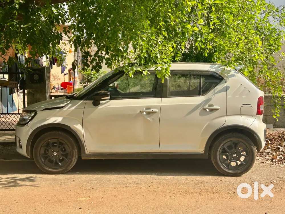 Stylish Ignis Alpha Amt – Top Variant, Smooth Drive, Best Deal