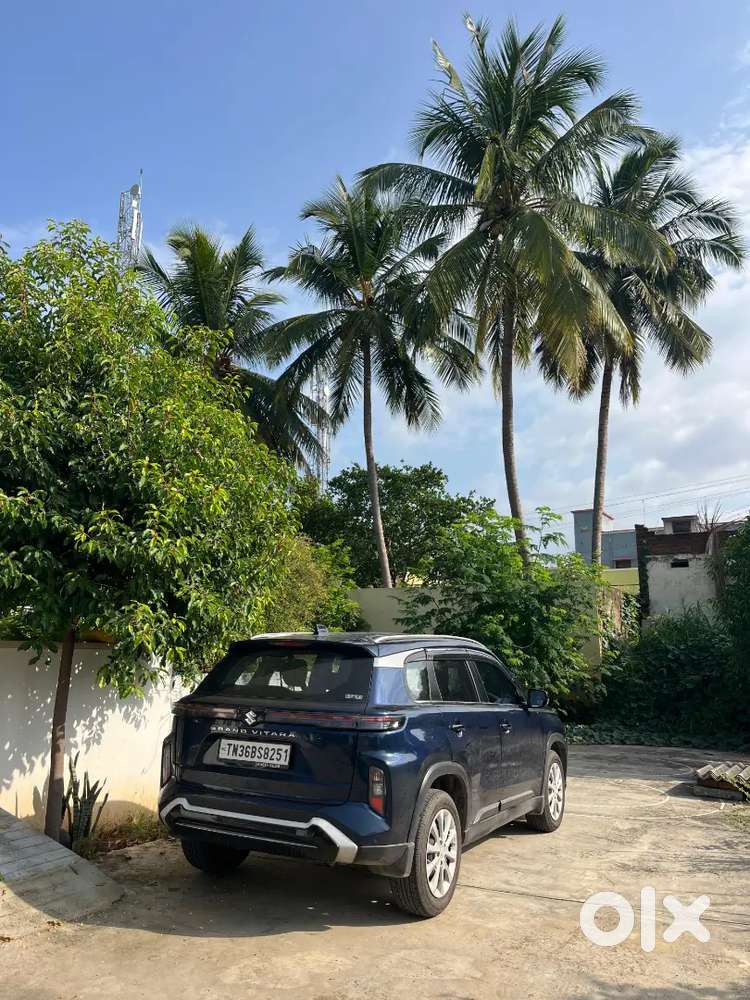 Maruti Suzuki Vitara 2025 Hybrid