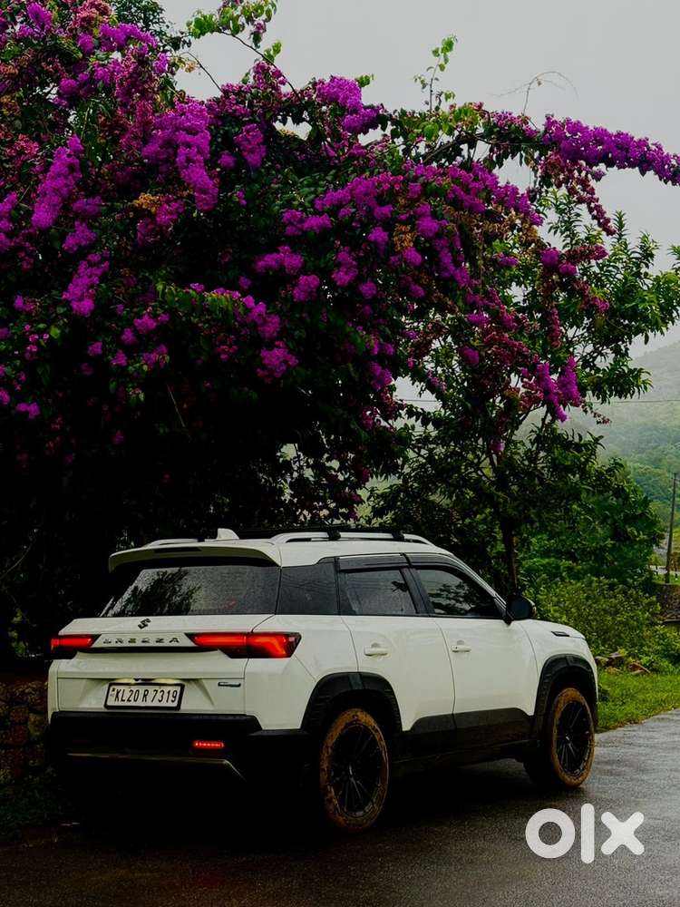 Maruti Brezza Petrol 2022